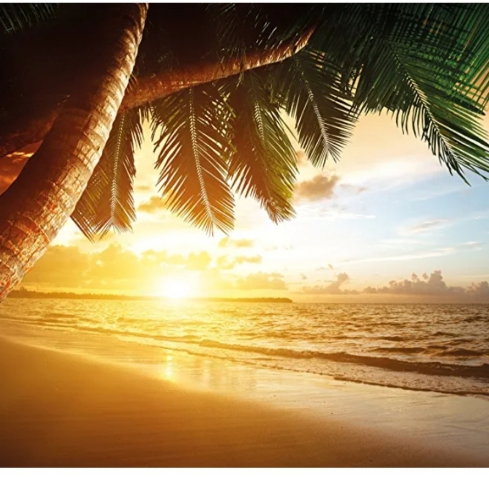 Photo Wallpaper – Desert